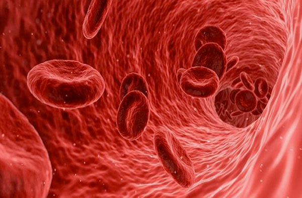 Cómo se manifiesta la anemia deportiva
